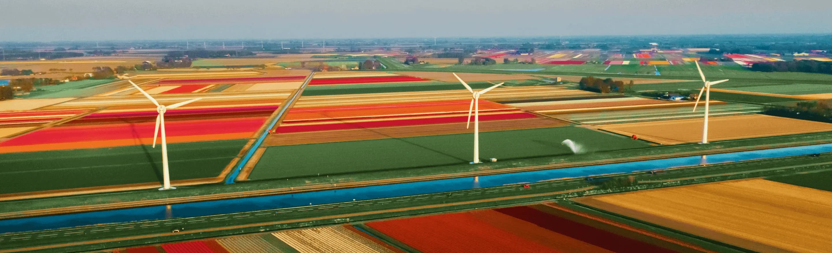 Amsterdam destination