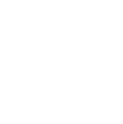 Washington DC Logo